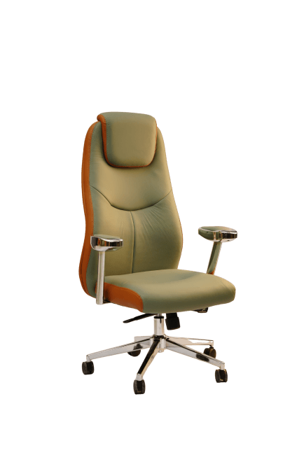 Chaise de Bureau Ergonomique Premium – Confort & Élégance pour Bureau et Home Office