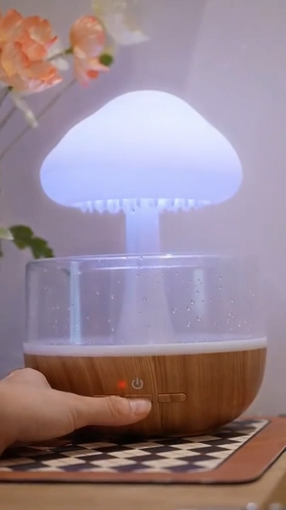 Diffuseur D'huiles Essentielles et Veilleuse Colorée x